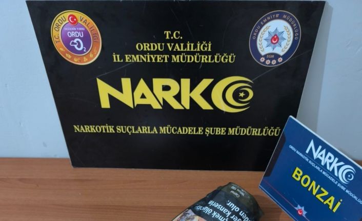 Ordu’da uyuşturucu operasyonlarında 5 tutuklama