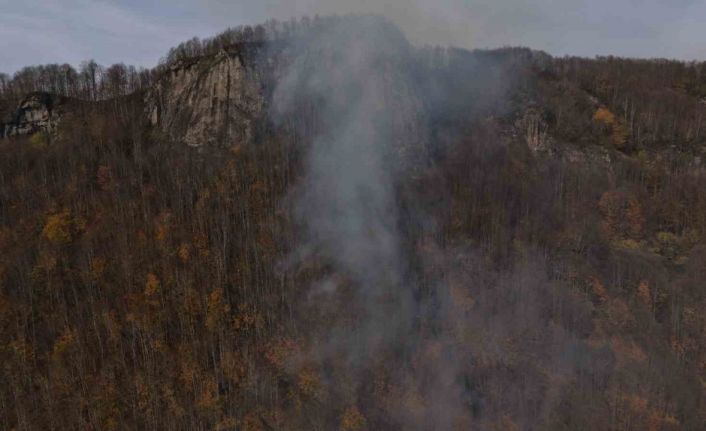 Ordu’daki ormanlık alandaki yangın kontrol altına alındı