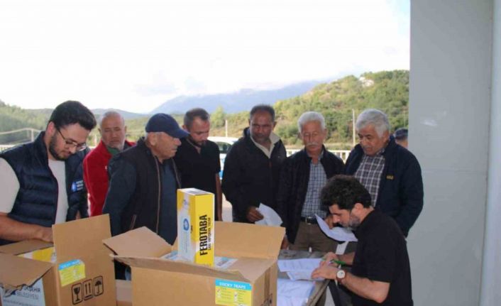 Organik tarıma mavi ve sarı yapışkan tuzak desteği