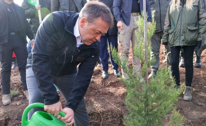 Orman yangınlarından etkilenen bölgede 5 bin fidanı toprakla buluşturuldu