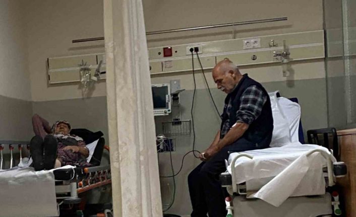 Ormandaki mantarları yiyen 7 kişi hastanelik oldu