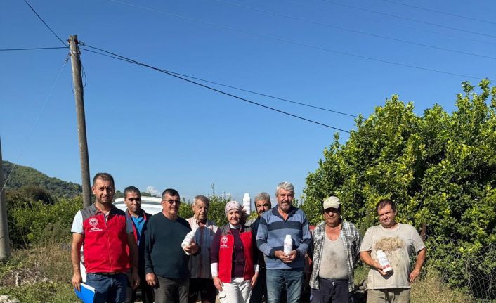 Ortaca’da narenciye bahçelerinde zararlılara karşı mücadele  sürüyor