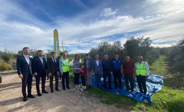 Osmaniye’de zeytin festivali