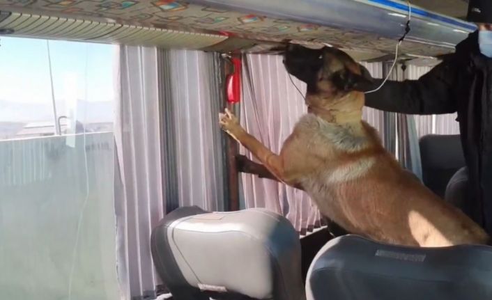 Otobüs bagajında skunk düzeneği: 8 kilo zehir ele geçirildi