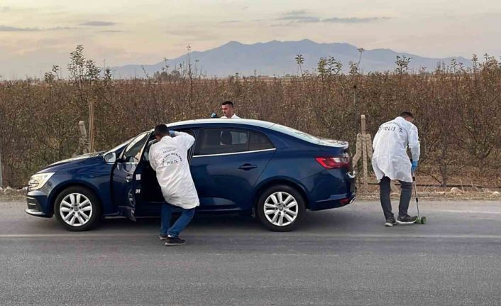 Otomobilin çarptığı yaşlı kadın hayatını kaybetti