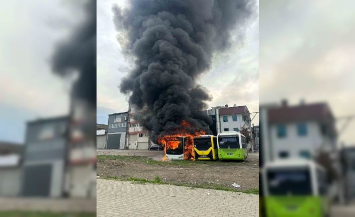 Park halindeki otobüsler cayır cayır yandı