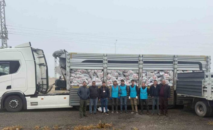 Patnos’ta on bin haneye kömür desteği