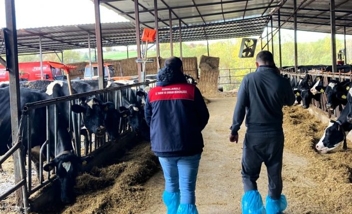 Pınarhisar’da ari hayvan işletmelerindeki çalışmalar incelendi