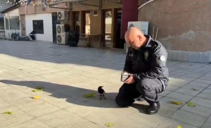 Polis memuru ile saksağan kuşunun dostluğu görenleri hayrete düşürdü