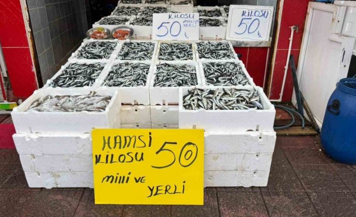 Rize’de hamsinin fiyatı sevenlerinin yüzünü güldürüyor