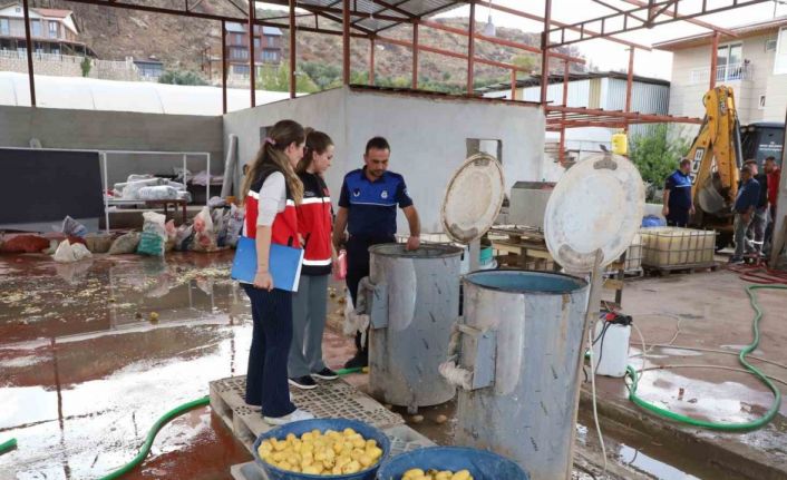 Sağlıksız şartlarda patates dilimleyen işletme mühürlendi