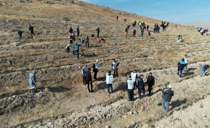 ‘Şahidimiz Toprak, İmzamız Fidan, Sevdamız Yeşil Vatan’ Yahyalı’da hayat buldu