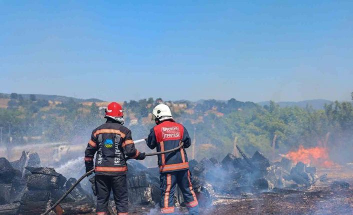 Sakarya’nın kahraman itfaiyecileri 10 ayda 11 bin 595 olaya müdahale etti