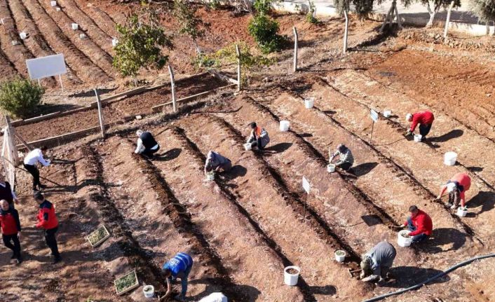 Salep toprakla buluşturuldu