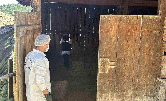 Samanlıkta işlenen cinayetle ilgili yargılama devam etti