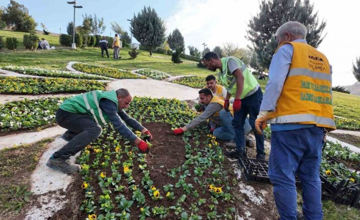 Şanlıurfa’da 400 bin çiçek toprakla buluşuyor