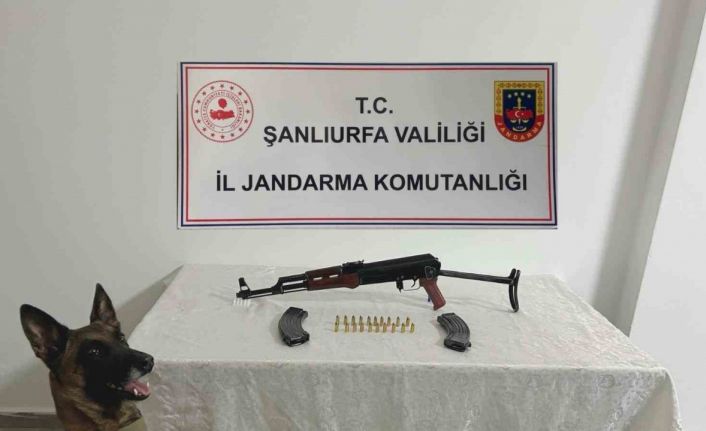 Şanlıurfa’da ruhsatsız silah operasyonu