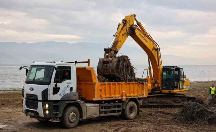 Sapanca Gölü kıyılarında ekosistemi koruyan temizlik