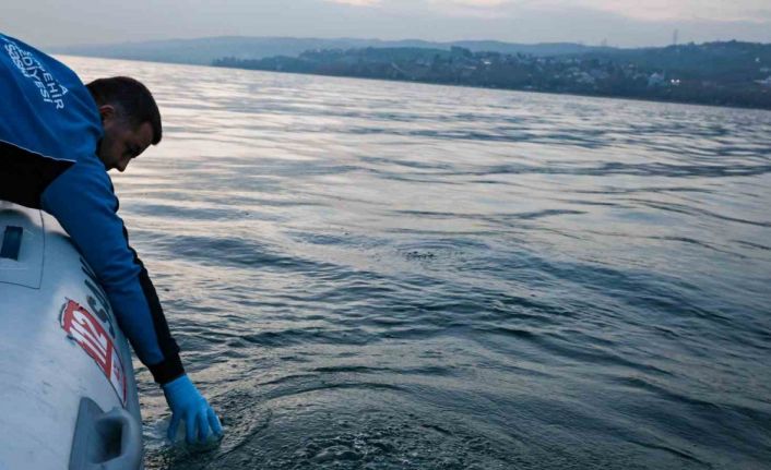 Sapanca Gölü’ndeki kabarcıkların sebebi belli oldu: Yeraltından doğal hava çıkışı