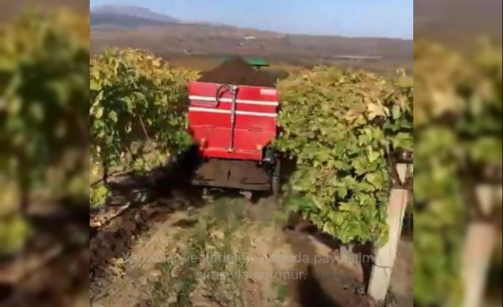 Sarıgöl’de bağlara kışlık doğal gübre verilmeye başlandı