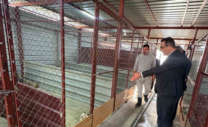 Sarıgöl’de hayvan bakım hizmetlerine yakın takip