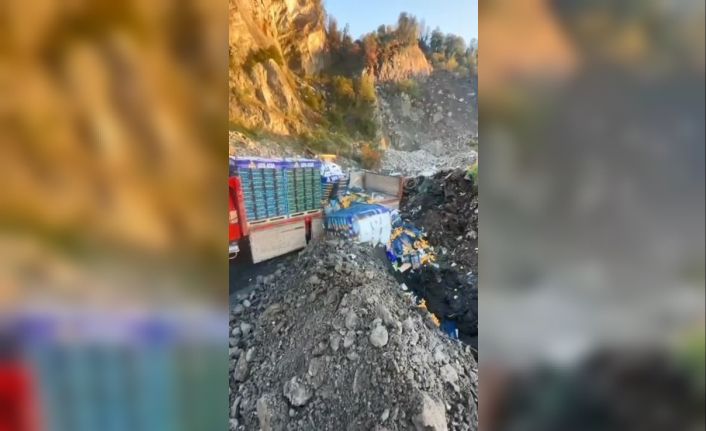 Sarp Sınır Kapısı’nda 6 ton mandalina imha edildi: Zirai ilaç kalıntısı tespit edildi