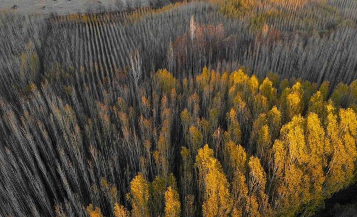 Savur, doğal güzelliğiyle ziyaretçileri mest ediyor