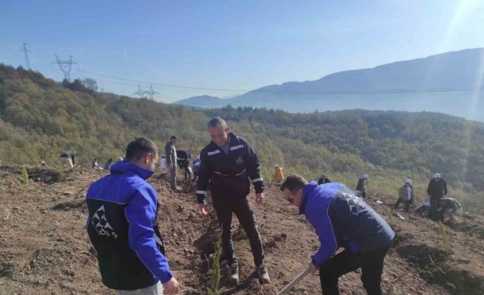 SEDAŞ, 4 ilde 500 fidanı toprakla buluşturdu