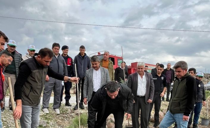 Selendi’de 800 fidan toprakla buluşturuldu