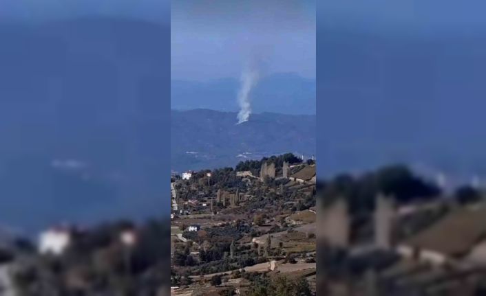 Seydikemer’de orman yangını