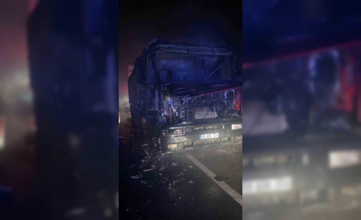Seyir halinde bir anda alev alan tır kül oldu