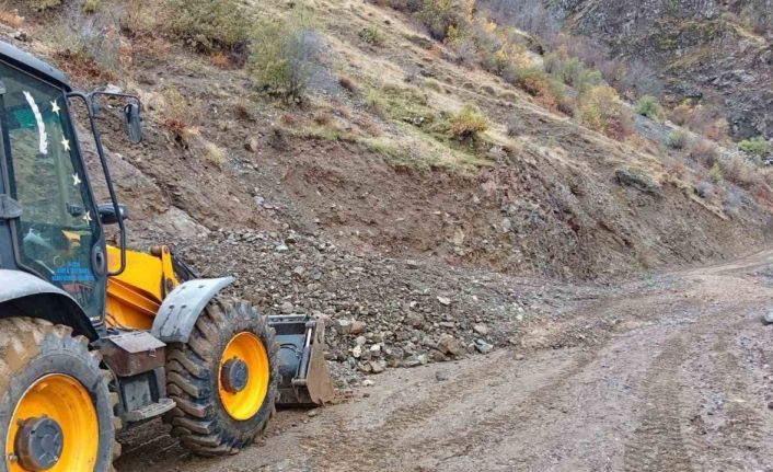 Siirt’te sağanak yağış heyelana neden oldu