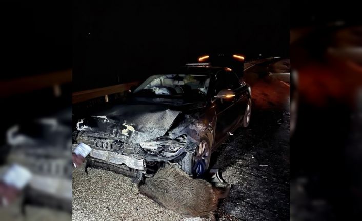 Sinop Belediye Başkanı Gürbüz’ün makam aracı domuz sürüsüne çarptı