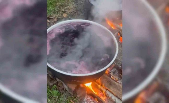 Sinop köylerinde kazanlar kaynıyor: Kışlık pekmez mesaisi