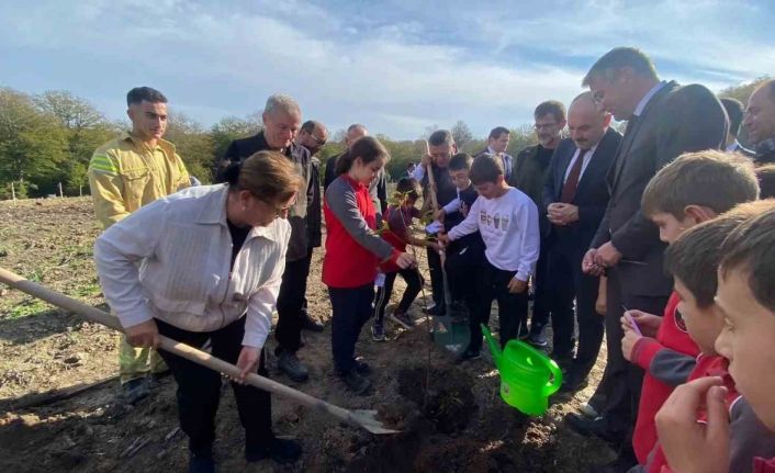 Sinop’ta 3 bin 860 fidan toprakla buluştu