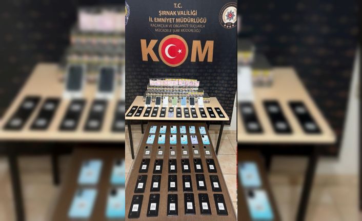 Şırnak’ta kaçakçılığa darbe: 2 milyon liralık kaçak ürün ele geçirildi