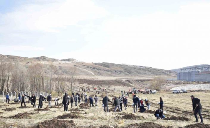 Sivas OSB’de yeşil dönüşüm binlerce fidan toprakla buluşuyor