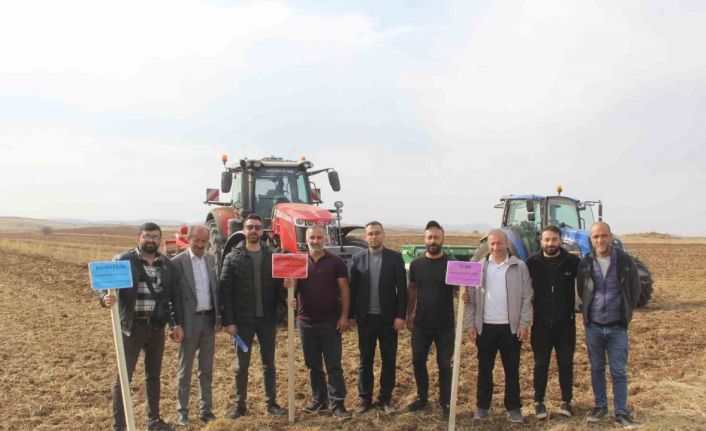 Sivas’ta 5 farklı ekmeklik buğday, pilot bölgede toprakla buluşturuldu