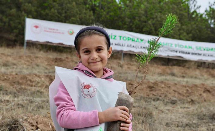 Sivas’ta 90 bin fidan toprakla buluştu
