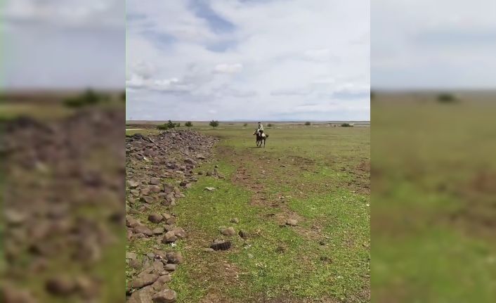 Siverek’te ilginç anlar kameraya yansıdı