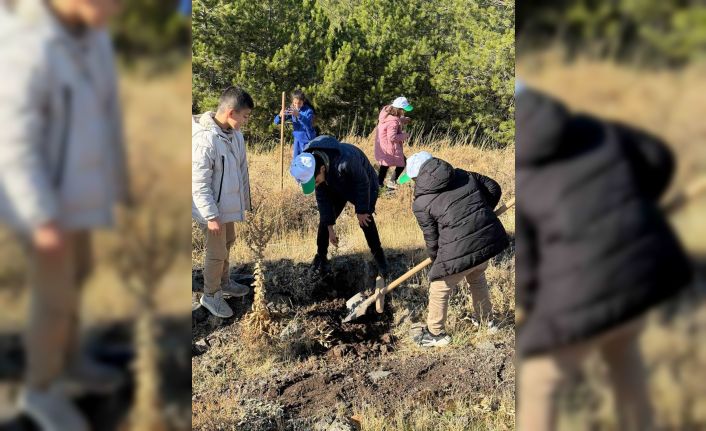 Sivrice’de fidan dikme etkinliği düzenlendi