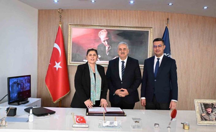 Sokak hayvanları için doğal yaşam alanı oluşturulacak