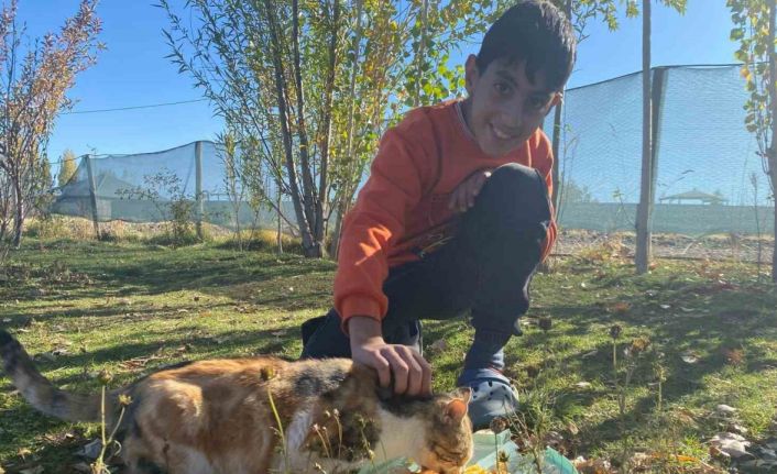 Sokak hayvanlarını elleriyle besliyor, onlara yuva oluyor