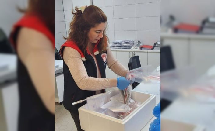 Söke’den ihraç edilecek balıklara analiz