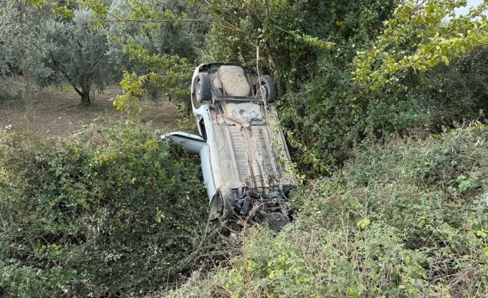 Sollama yaparken zeytinliğe uçtu