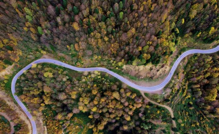 Sonbaharın renkleri Çam Dağı’nı baştan sona sardı