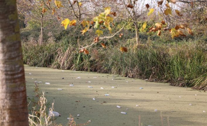 Su kanalı adeta çöplüğe döndü: Vatandaş Karasu Belediyesi’ni göreve çağırdı