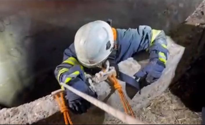 Su kuyusuna düşen çakalı itfaiye ekipleri kurtardı