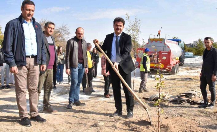 SÜ’de Milli Ağaçlandırma Günü’nde yüzlerce fidan dikildi