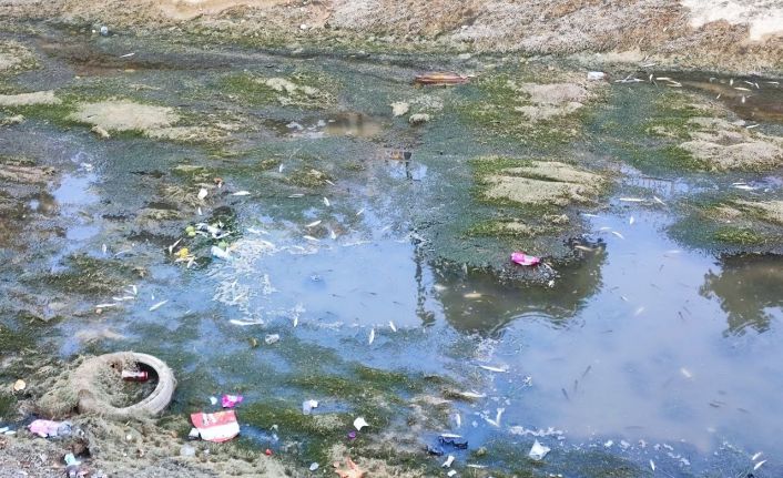 Sulama kanalındaki balıklar telef olmaya devam ediyor
